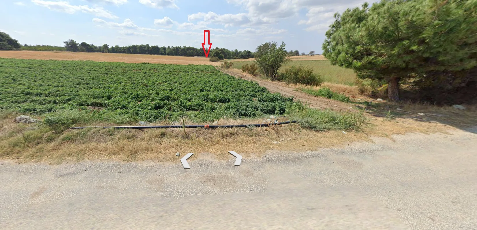 FOA'dan, Çanakkale Merkez Gökçalı Köyü, 2911 m² Müstakil Tapulu